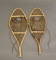 Image - Snowshoe