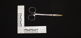 Image - Forceps