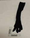 Image - Glove, Evening