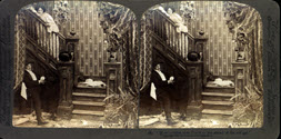 Image - Stereograph