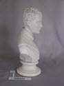 Image - Bust