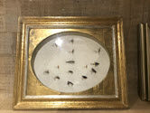 Image - Fly Plate