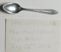 Image - Miniature Spoon