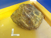 Image - Geospecimen