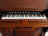 Image - Organ