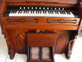 Image - Organ