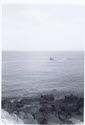 Image - Print, photographic