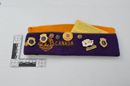Image - Lions Club Accessories
