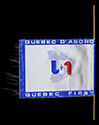 Image - drapeau électoral
