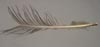 Image - Feather, Plume