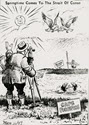 Image - Cartoon