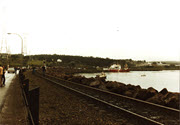 Image - Photograph, Color