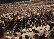 Image - Photograph, color.