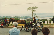 Image - Photograph, Color