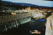 Image - Photograph, color