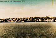 Image - Photograph, Color