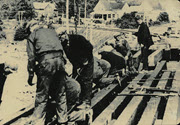 Image - Photograph, black and white