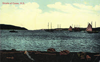 Image - Postcard, color