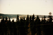 Image - Photograph, color