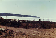 Image - Photograph, color