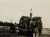 Image - Photograph, black and white