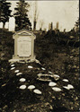 Image - Photograph.black and white