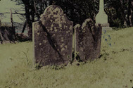 Image - Photograph, color