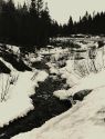 Image - Photograph, black-and-white