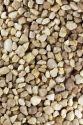 Image - quartz gravel, gravier quartzeux