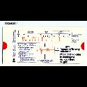 Image - SLIDE RULE