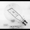 Image - LAMP BULB