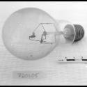 Image - LAMP BULB