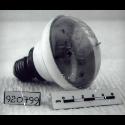 Image - LAMP BULB