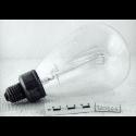 Image - LAMP BULB