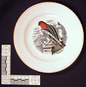 Image - Plate, Decorative