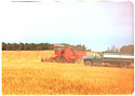 Image - "Harvester, St. Norbert