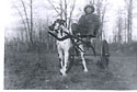 Image - boy with dog cart 1 dog
