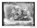 Image - NEGATIVE, GLASS-PLATE