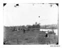 Image - NEGATIVE, GLASS-PLATE