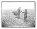 Image - NEGATIVE, GLASS PLATE