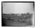 Image - NEGATIVE, GLASS PLATE