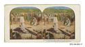 Image - STEREOSCOPE#17