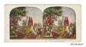 Image - STEREOSCOPE#27