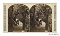 Image - STEREOGRAPH#10