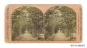 Image - STEREOGRAPH#17