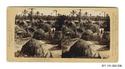 Image - STEREOGRAPH#36