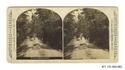 Image - STEREOGRAPH#63