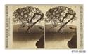 Image - STEREOGRAPH#90