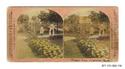 Image - STEREOGRAPH#119