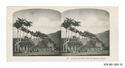 Image - STEREOGRAPH#15